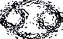 Granite Details logo