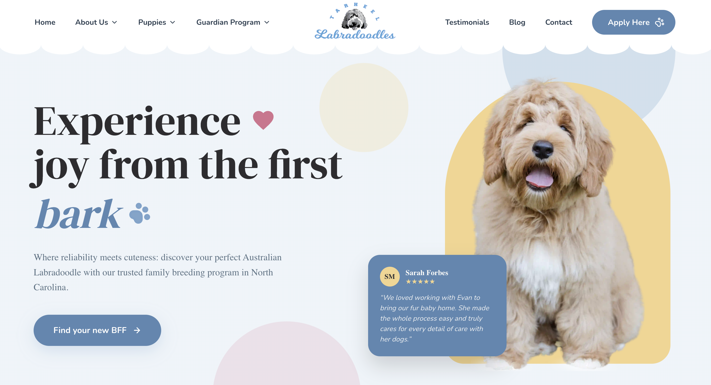 Tarheel Labradoodles